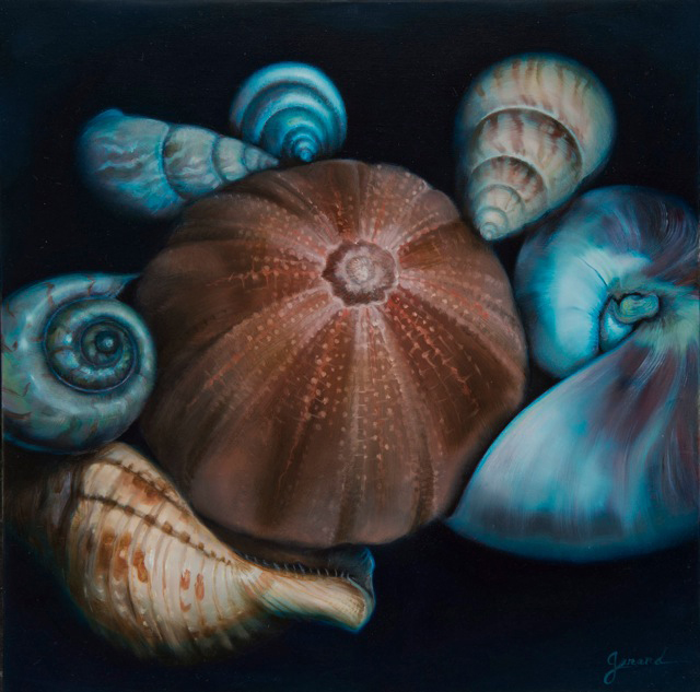 Congregation of Shells