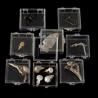 Plexiboxed Miniatures