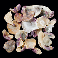 Scallop Collection