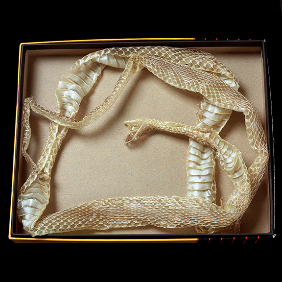 Boxed Blue Racer Skin  1/20