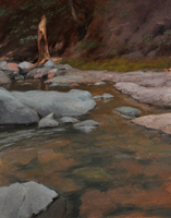 Mountain Stream