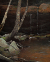Forest Pool