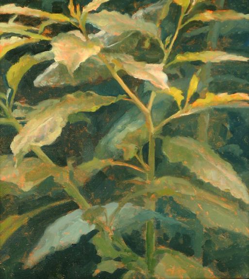 Botanical Study 3,