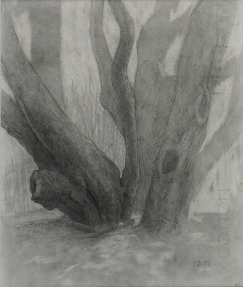Tree Study