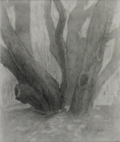 Botanical Study 4