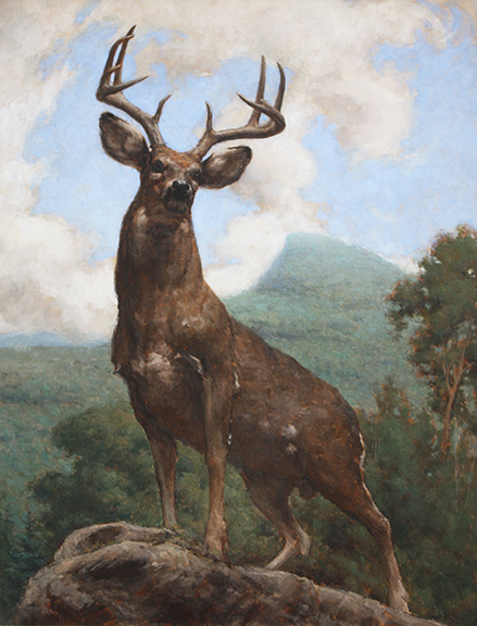 Buck