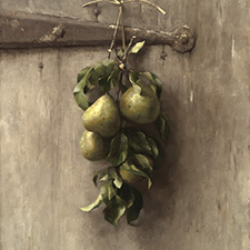 Pear