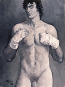 The Boxer