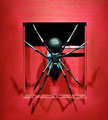 Black Widow